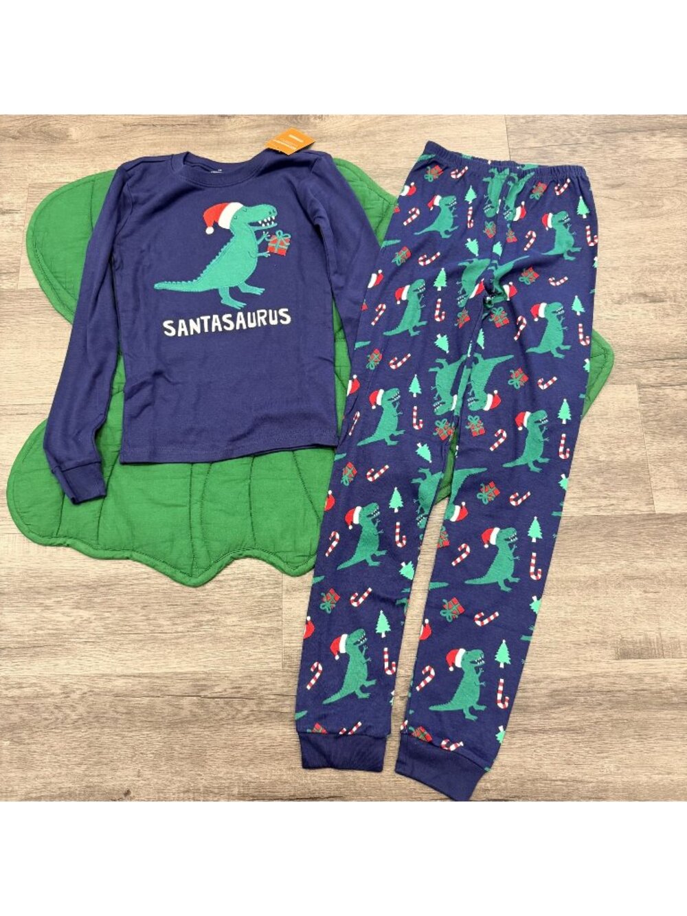 Gymboree Boys 10 Christmas Dinosaur Pajama Set Long Sleeve Pants